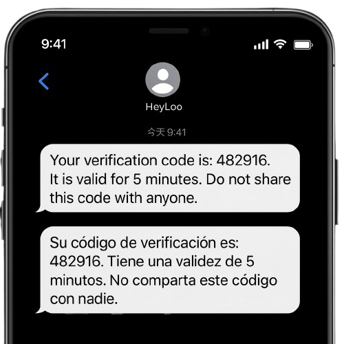 SMS OTP illustration